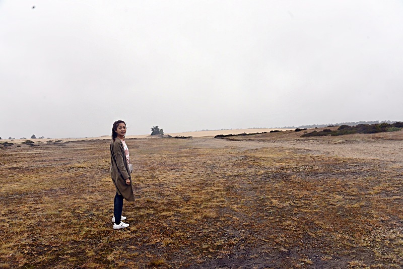 荷蘭｜梵谷國家森林公園The Hoge Veluwe National Park・享受森林自然氣息