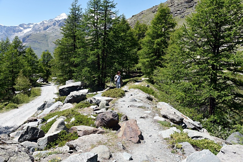 瑞士｜策馬特Zermatt·馬特洪峰五湖健行·如同天堂夢幻的美麗之地