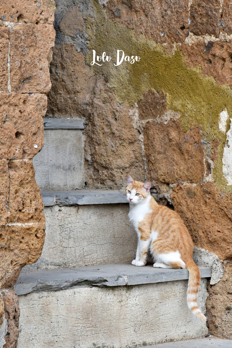 義大利私房古城景點｜PITIGLIANO·羅馬近郊托斯卡尼靜謐的山城