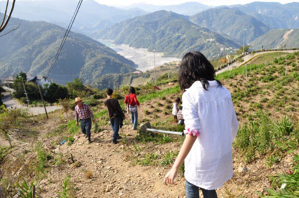 台中清境旅行