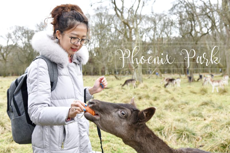 愛爾蘭都柏林｜鳳凰公園與小鹿玩耍。超大的Phoenix Park市區公園 @LULUDASU 繽紛真實