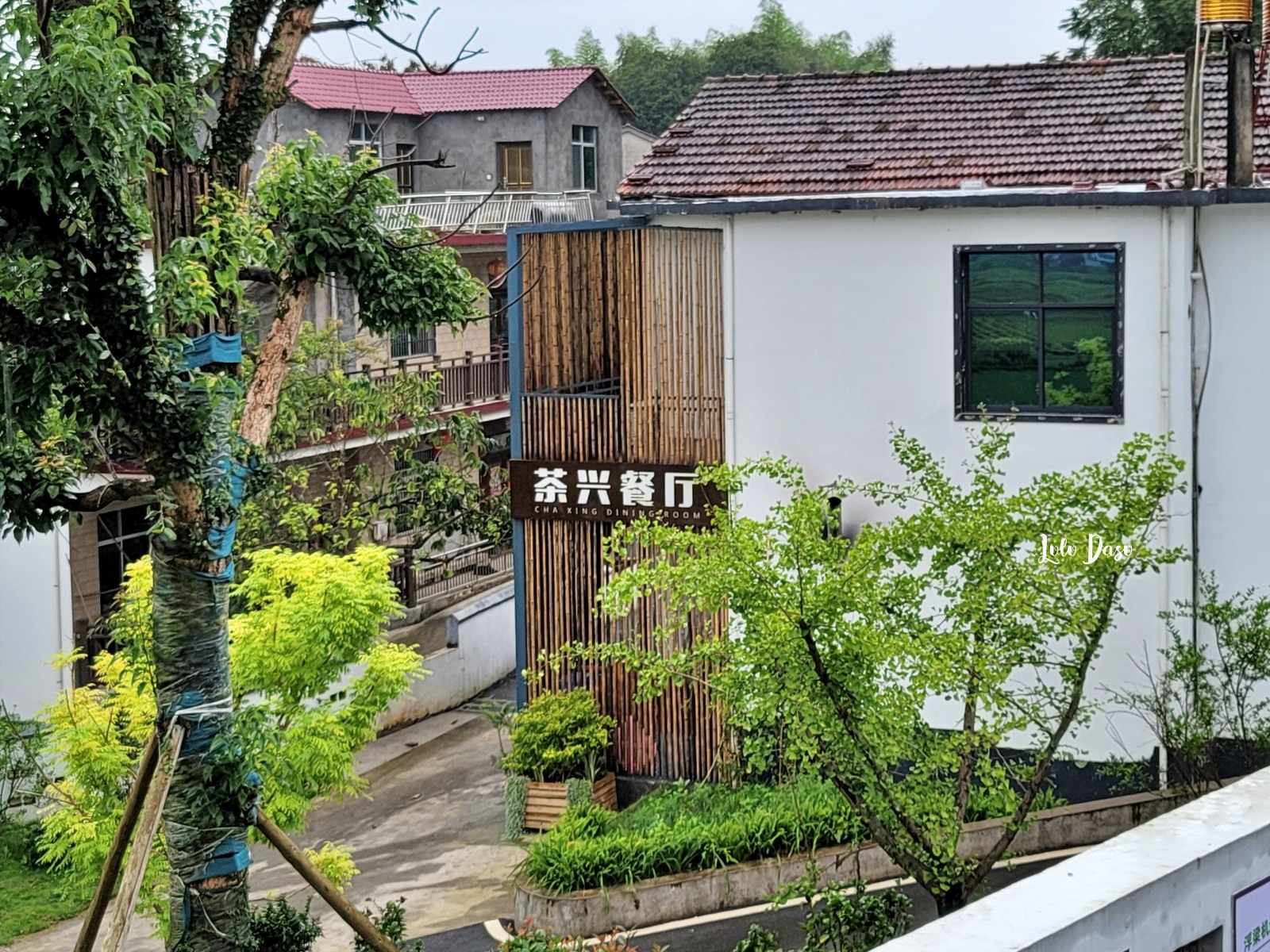 景德鎮三日遊｜體驗劇本殺：滄溪風華錄。包場整個千年古鎮的實境遊戲與大地藝術節