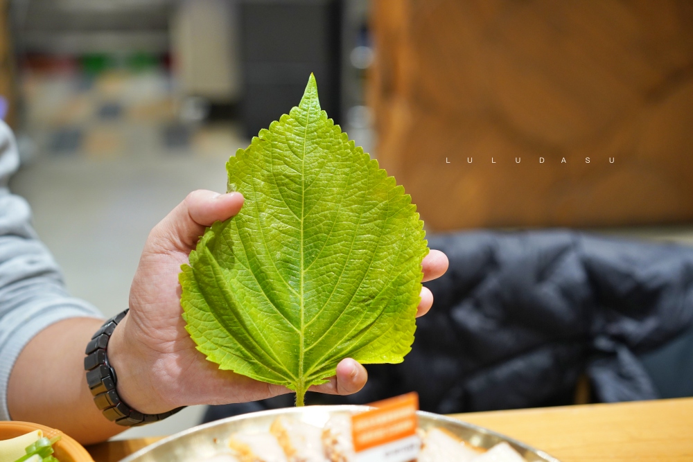 吉林延邊自由行｜延吉美食推薦 吳氏包飯 生菜包肉～必體驗的延邊朝鮮族美食