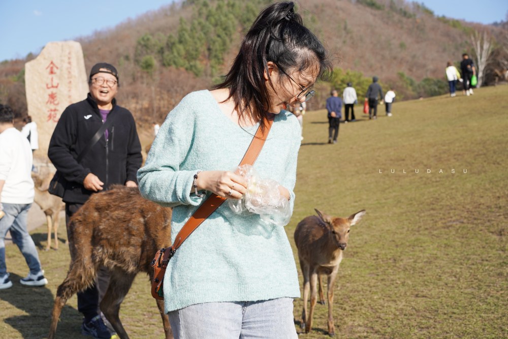 黑龍江伊春推薦景點｜小興安嶺賞秋之旅：金山鹿苑半日遊門票資訊＆自駕交通指南～到伊春餵小鹿啦