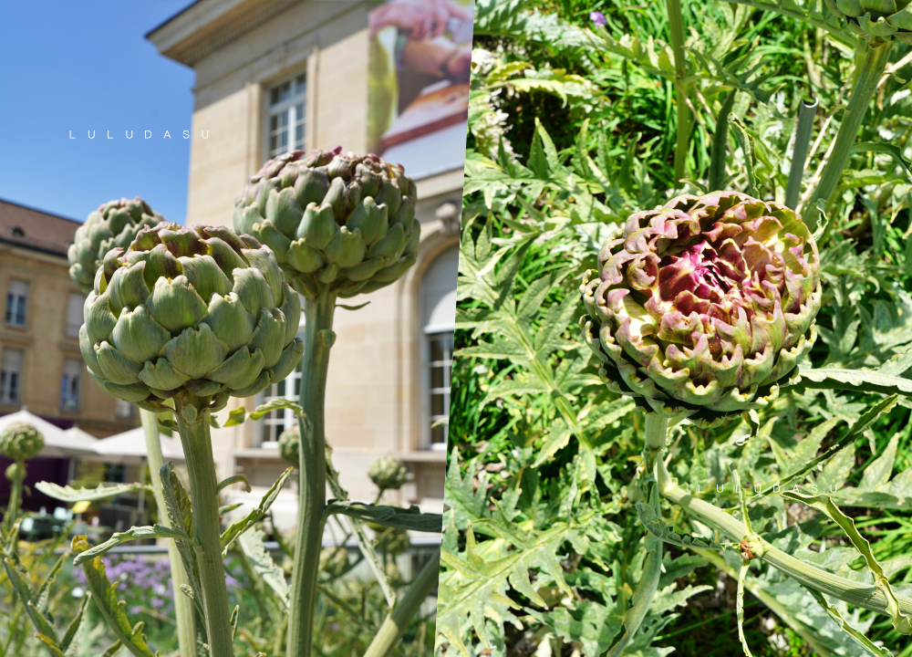 瑞士蒙特勒Montreux周邊景點｜Vevey老少閒宜有趣的雀巢食品博物館Alimentarium museum