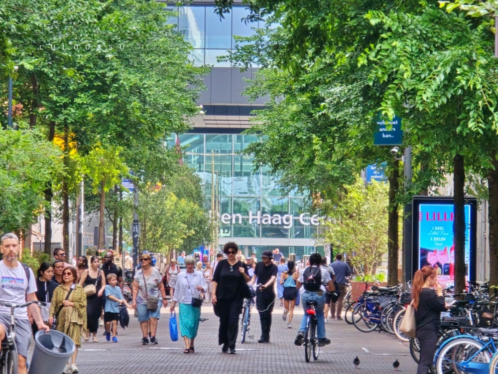 用歐洲火車通行證 Eurail Global Pass從荷蘭到比利時｜帶爹娘去旅行海牙-布魯日：荷比法火車之旅