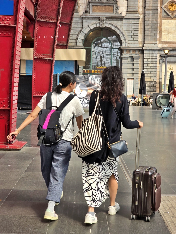 用歐洲火車通行證 Eurail Global Pass從荷蘭到比利時｜帶爹娘去旅行海牙-布魯日：荷比法火車之旅