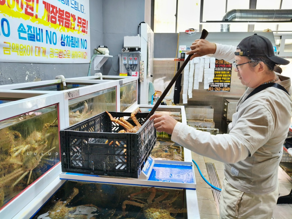釜山美食推薦｜帝王蟹雪蟹專門店不用料理費，價格透明～比台灣便宜超多啊！
