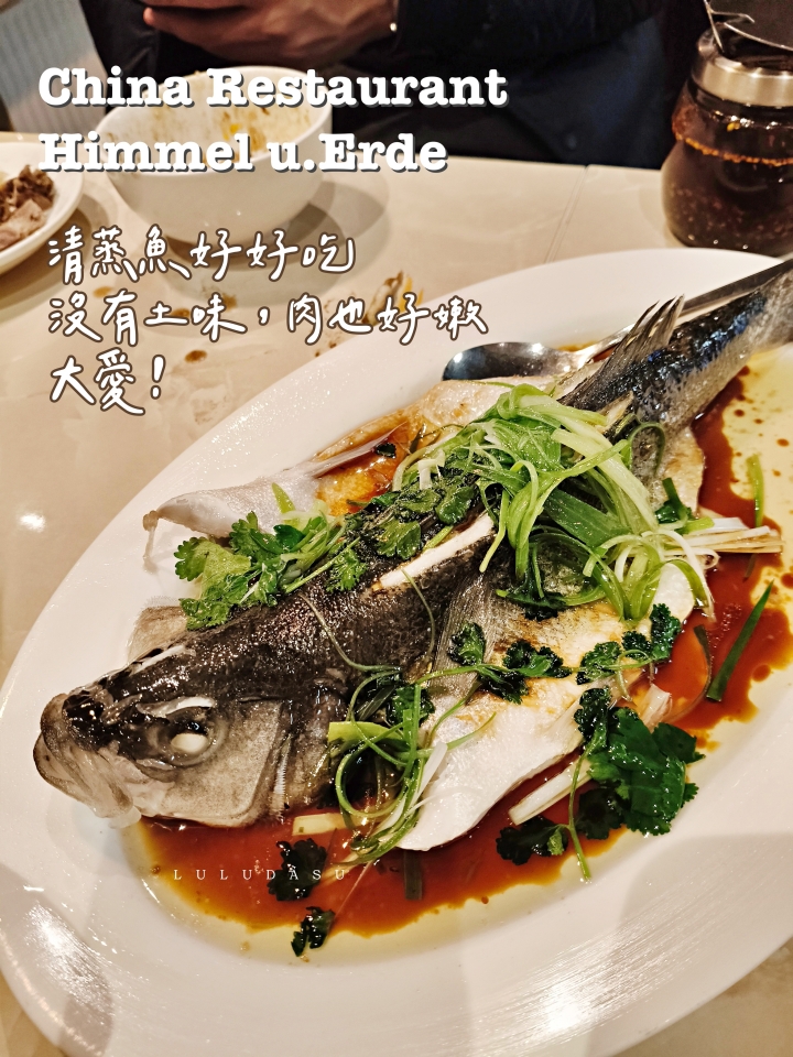 法蘭克福100家-5｜天圓地方中餐館原名小上海，法蘭克福近郊好吃的中餐廳（法蘭克福美食）